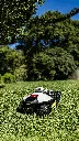 LUBA_mini-02-Unmatched-off-road-Capability-for-Lawns-within-1500_Wap.webp